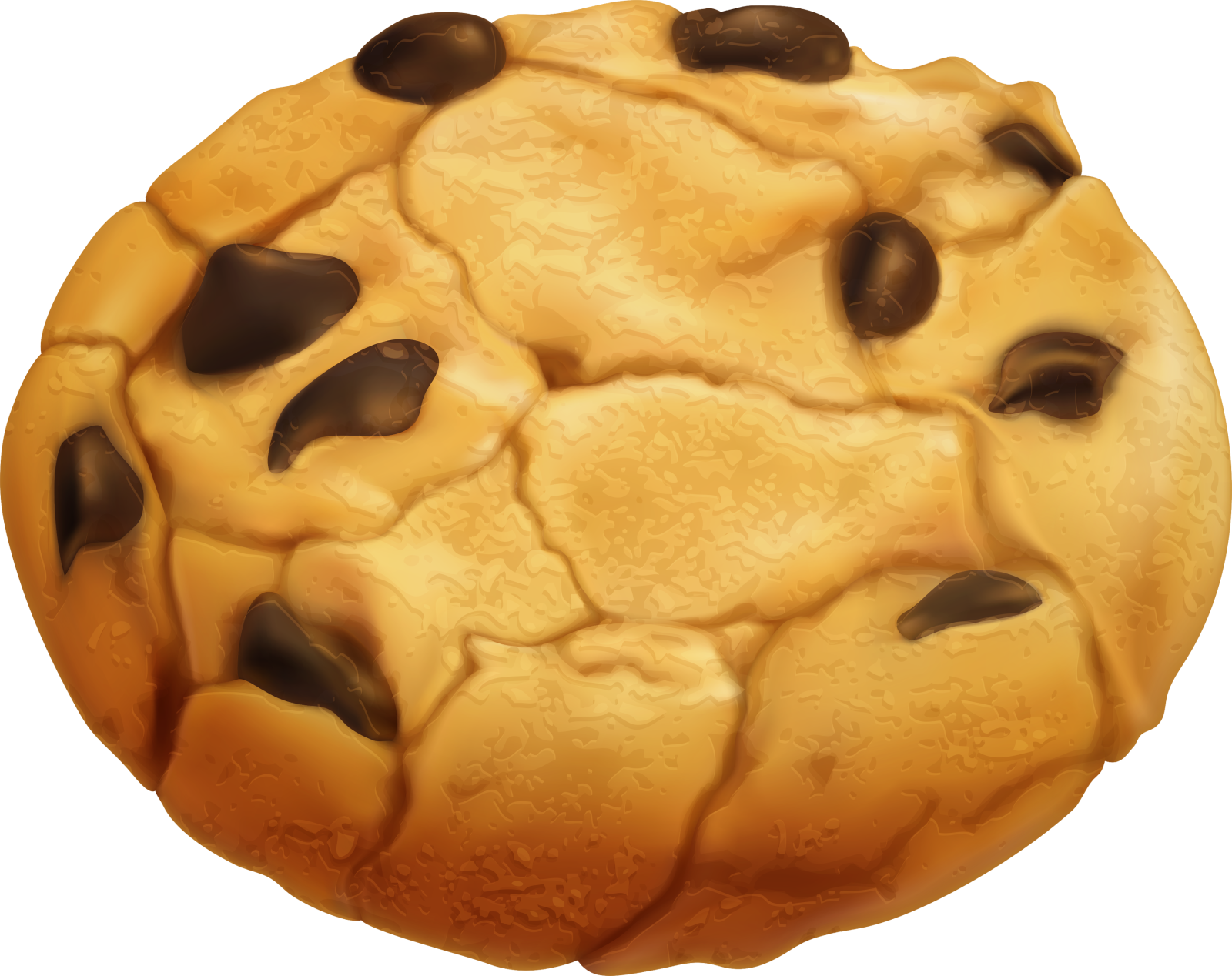 a cookie with chocolate chips on it