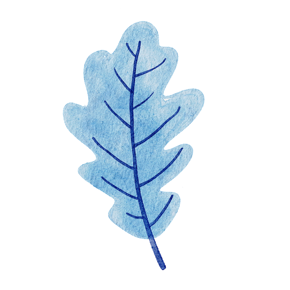 a blue leaf on a white background