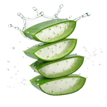 three slices of aloea alocaa with water splash