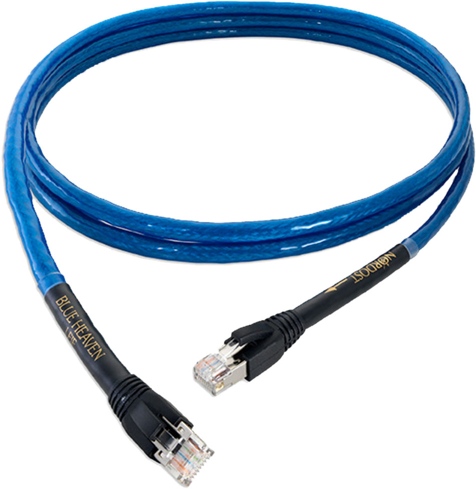 a blue ethernet cable on a white background