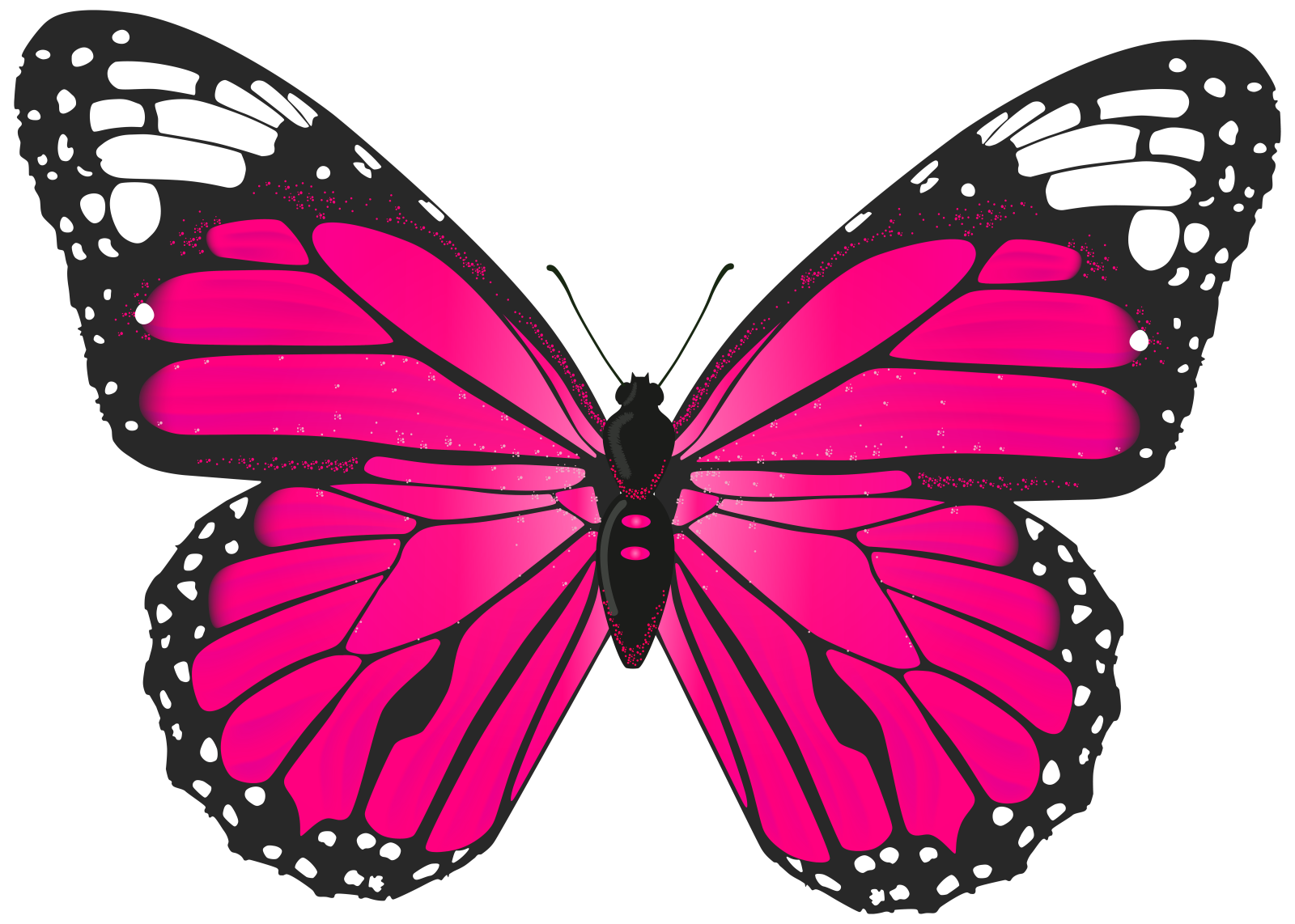 a pink butterfly on a white background