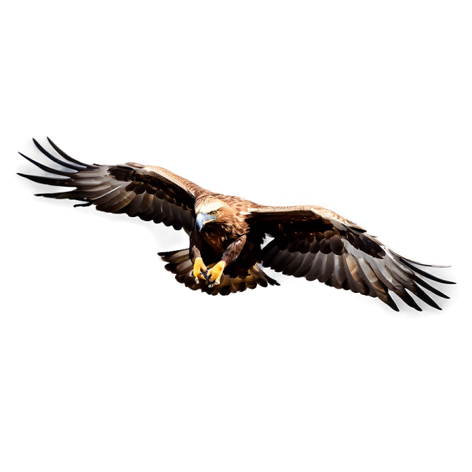 an eagle flying in the air with its wings spread