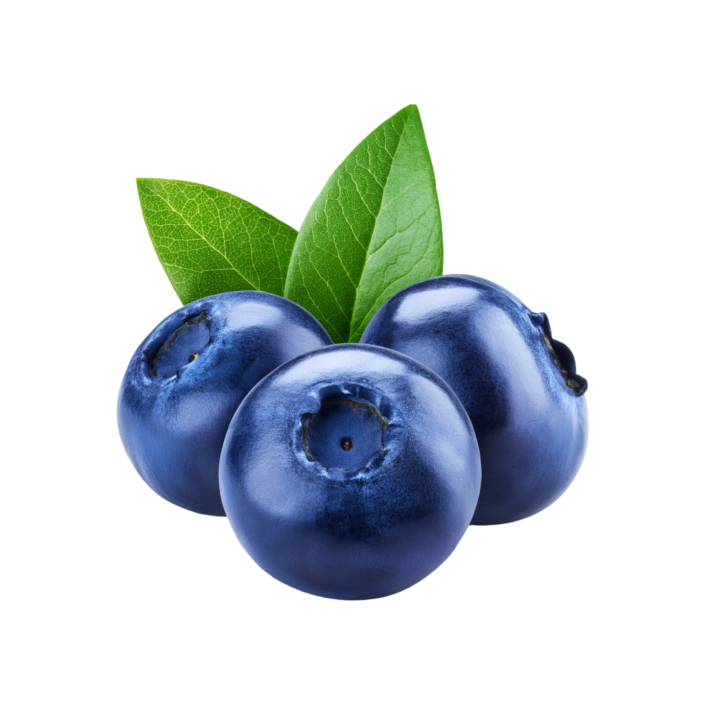 three blueberries with leaves on a white background