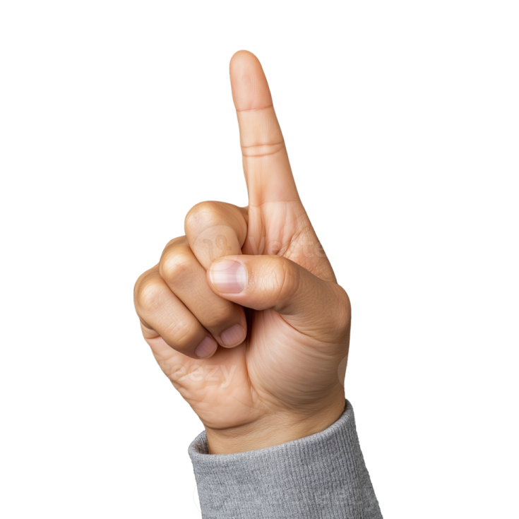 a person's hand showing the middle finger sign