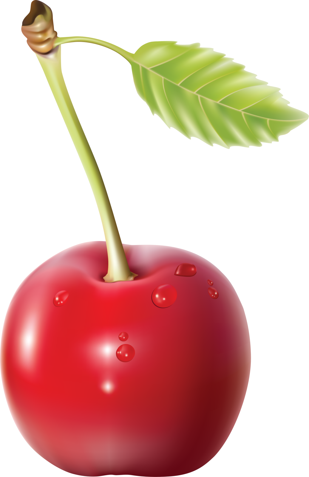 an apple with a leaf and water drops