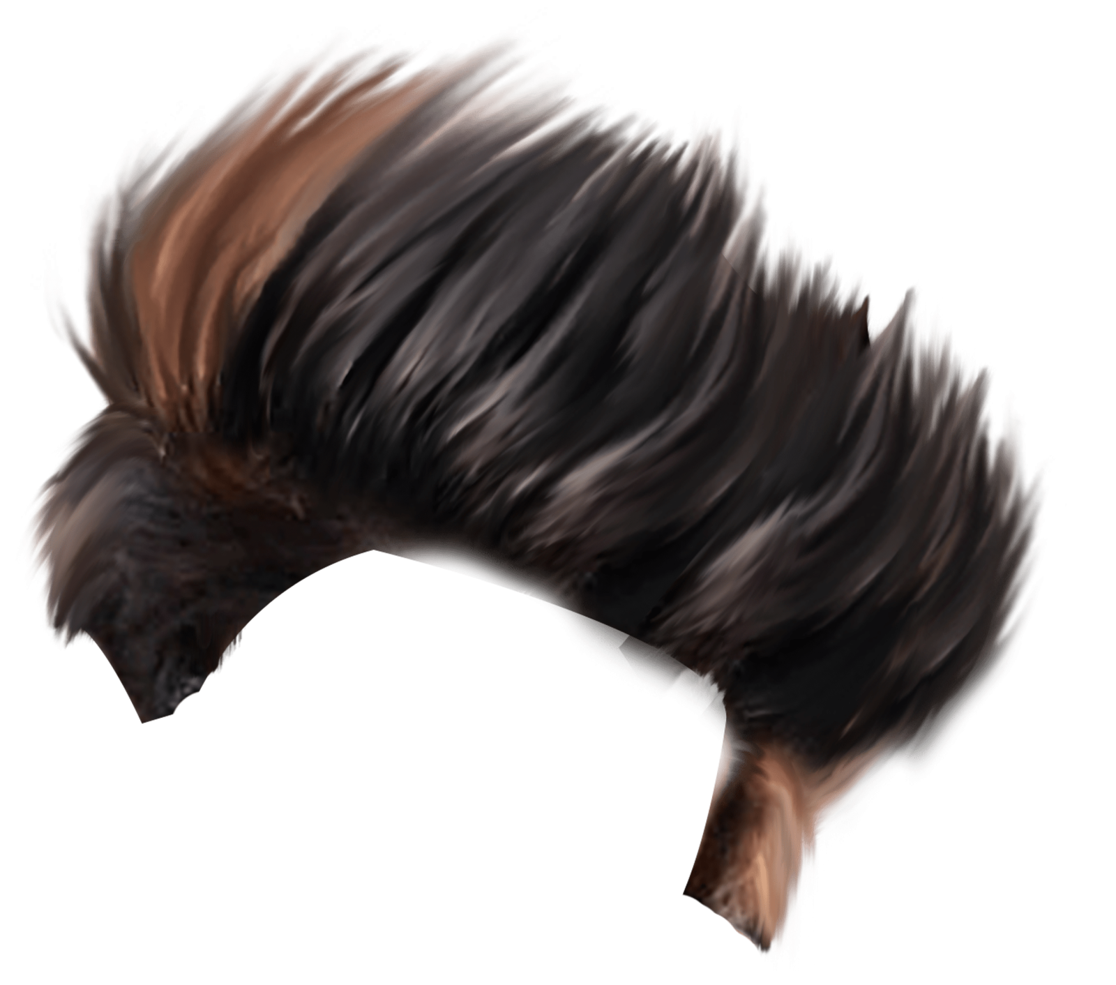 a brown and black hair on a white background