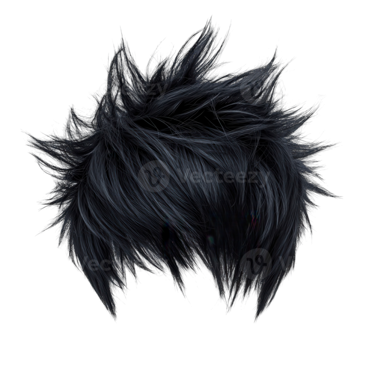 an image of a black furryy hair