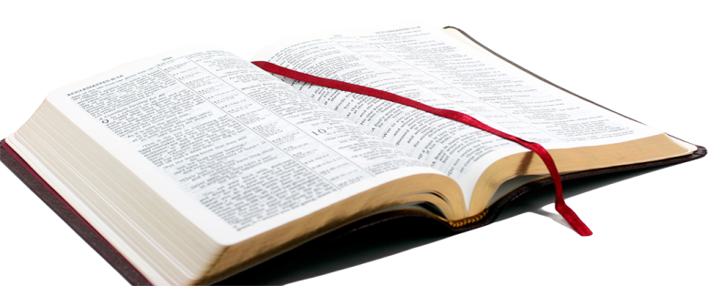 an open book with a red ribbon around it