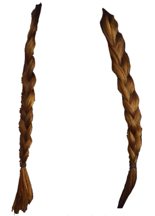 two braids on a white background