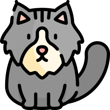 a gray cat sitting down and looking up