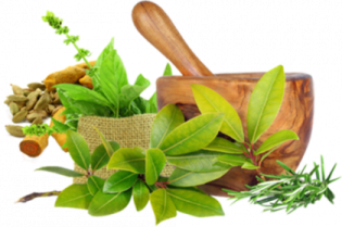 a mortar and mortar with herbs