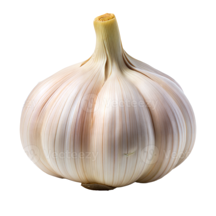 a garlic bulb on a white background