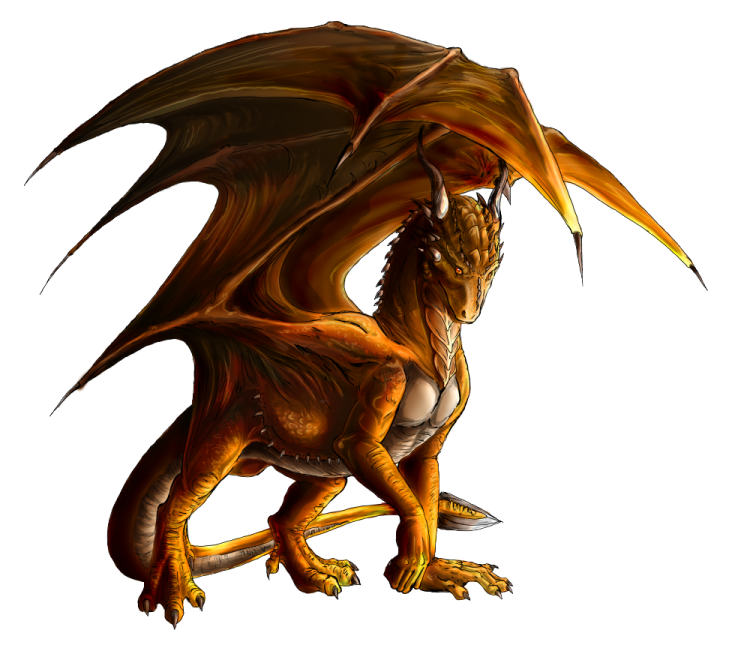 a drawing of a dragon on a white background