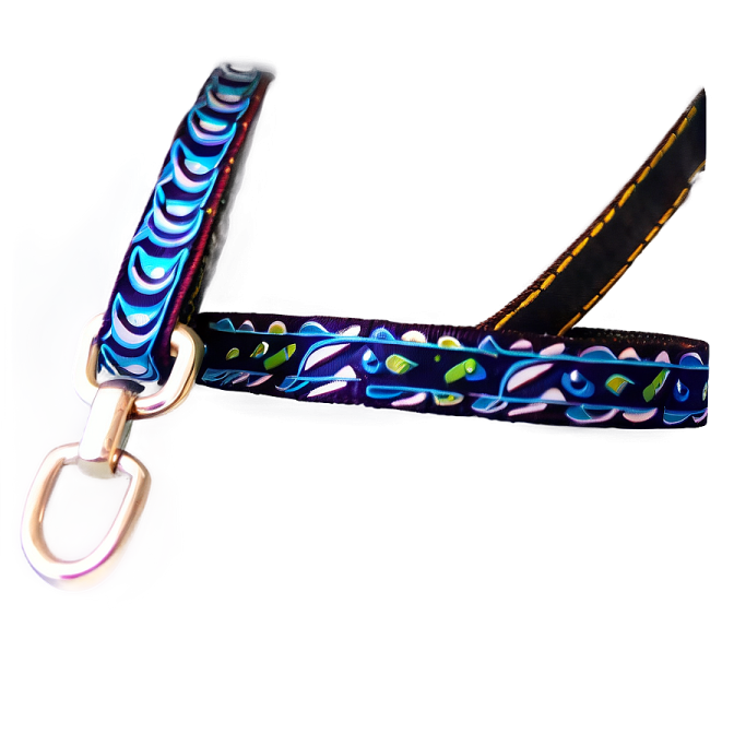 an image of a dog leash on a white background