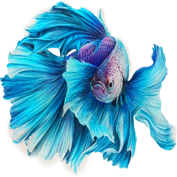 a blue and purple fish on a white background