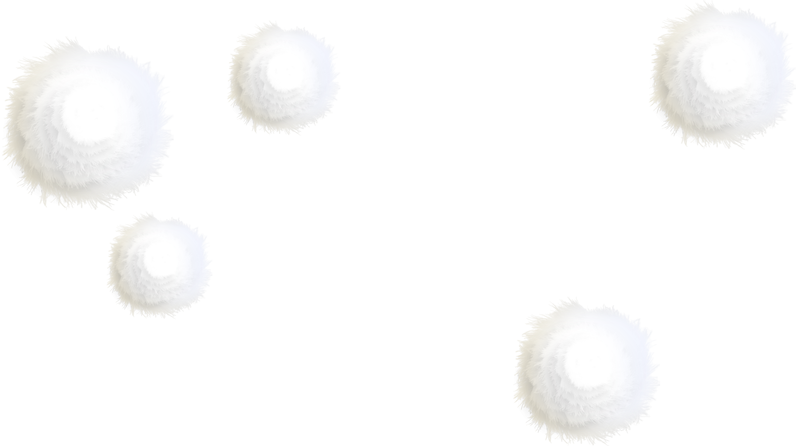 a group of white feathers on a white background