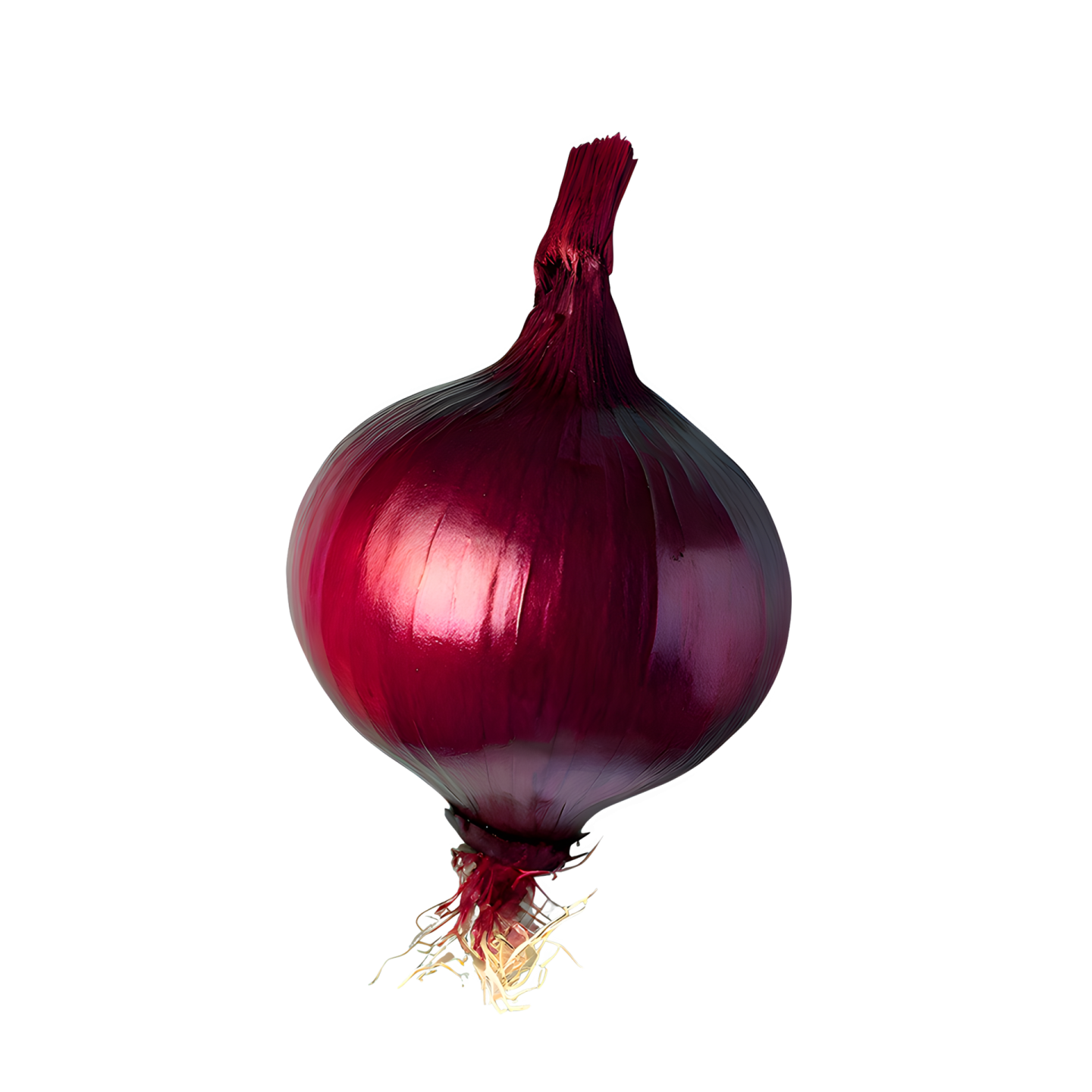 red onion on a white background