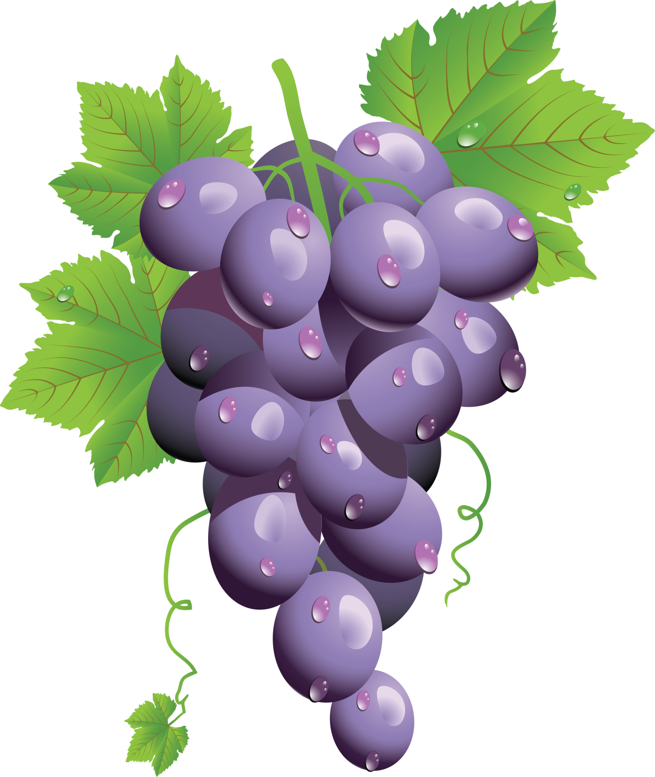 a bunch of blue grapes with green leaves