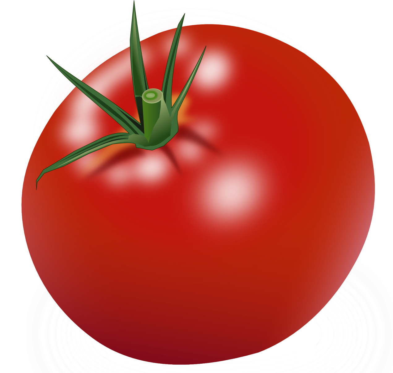 a red tomato on a white background