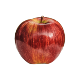 an apple on a white background