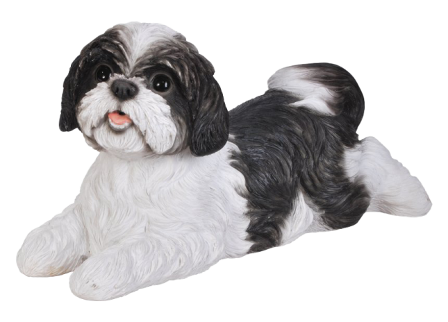 a black and white dog laying on the ground