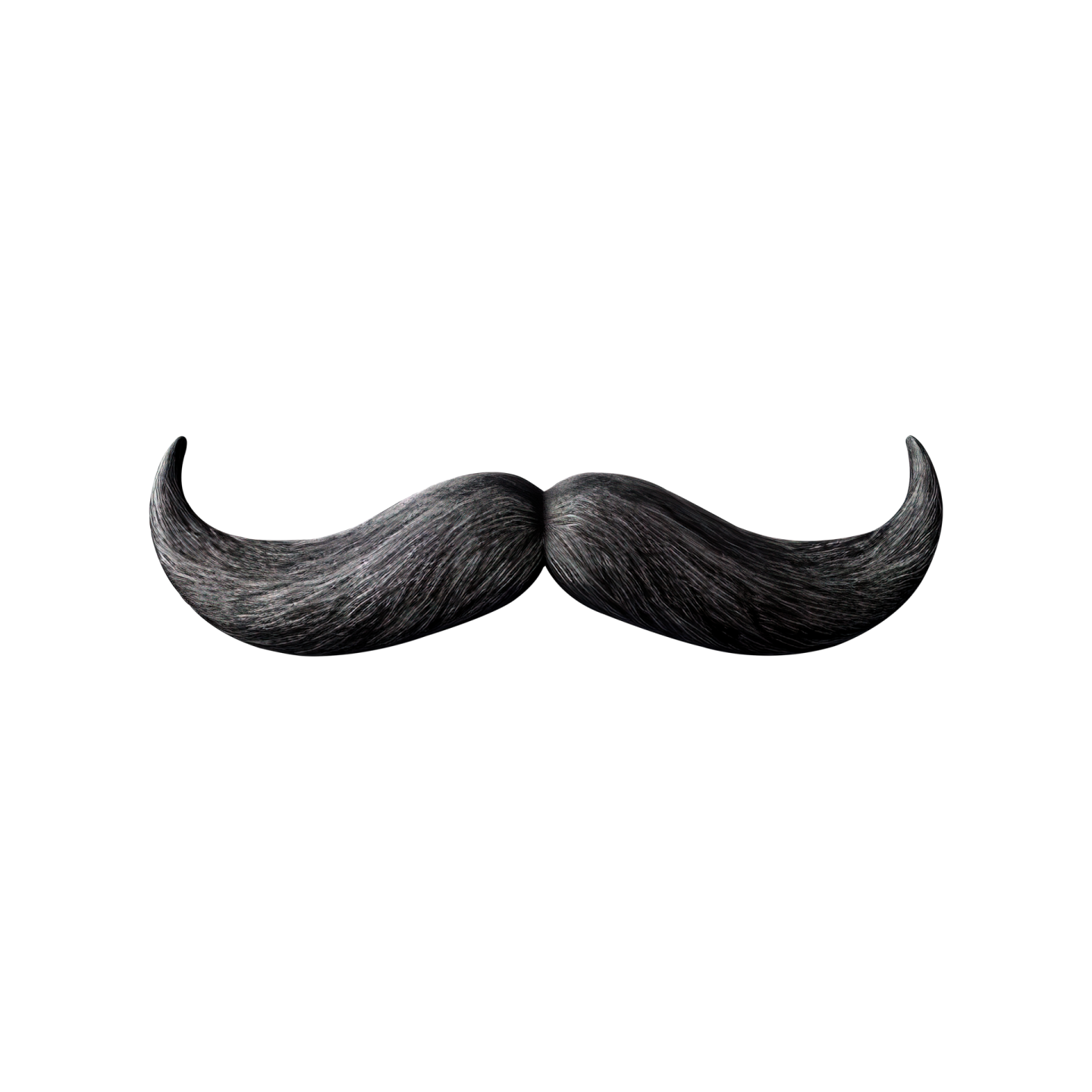 a black mustache on a white background