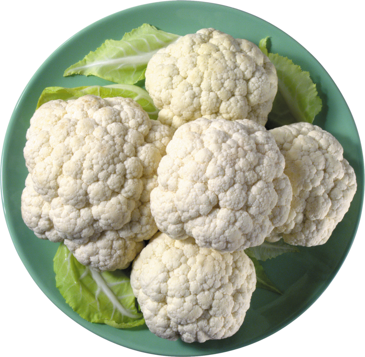 a plate of caulides on a white background
