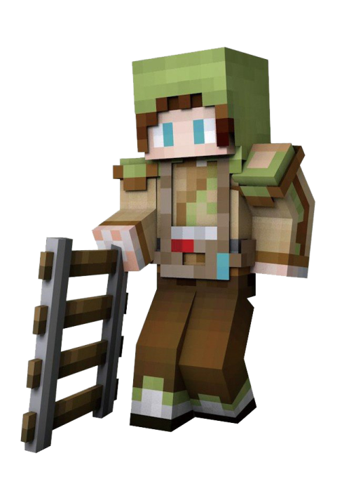 an image of a minecraft character holding a ladder