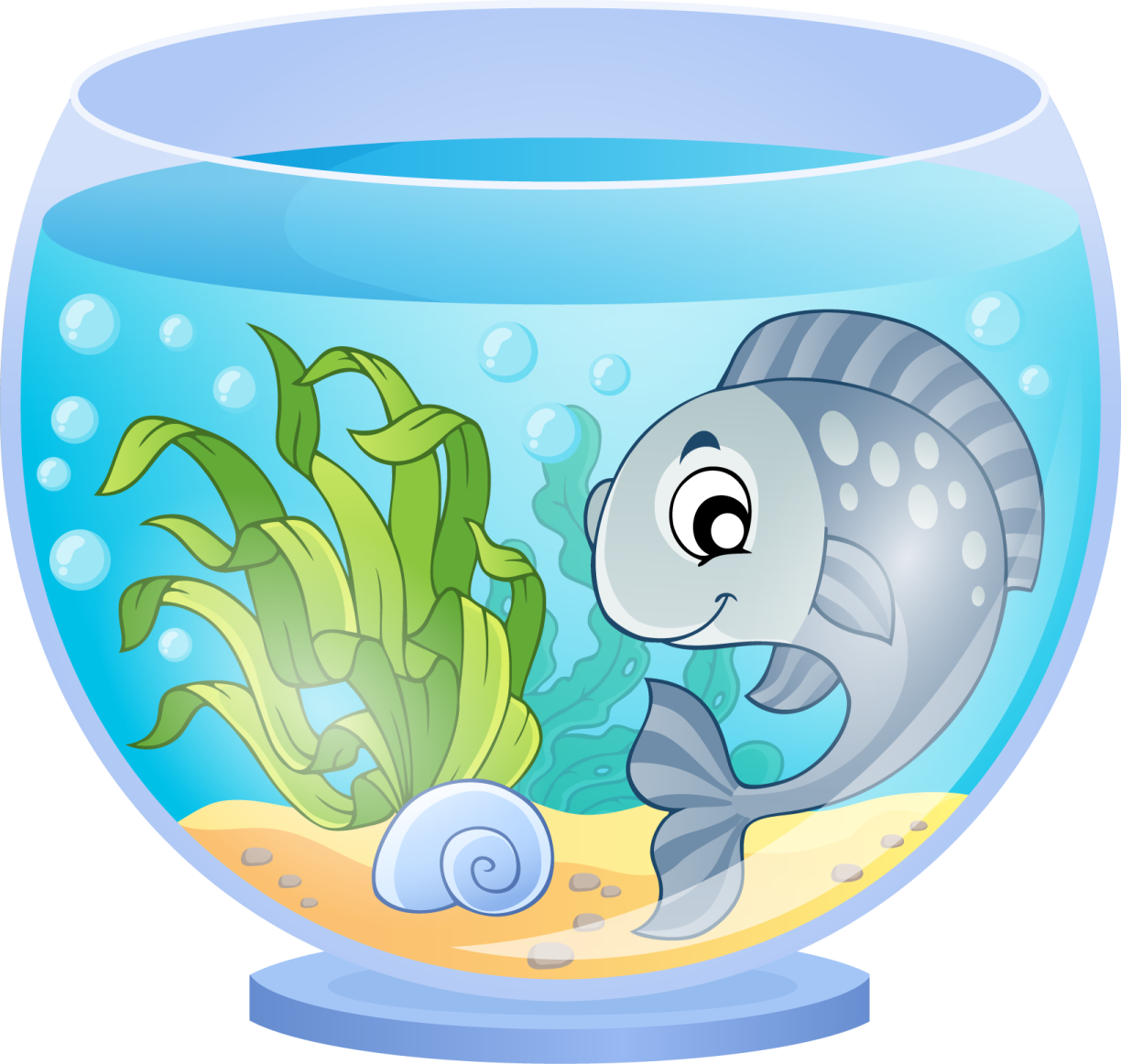 an aquarium with a fish inside of it