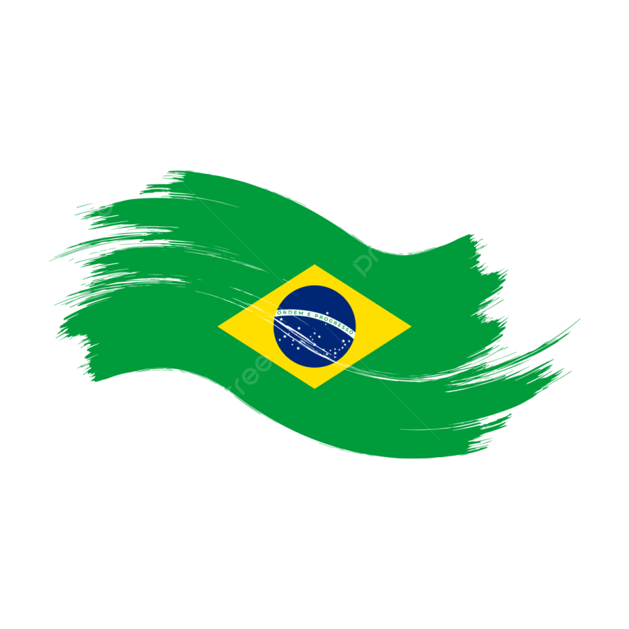 the flag of brazil
