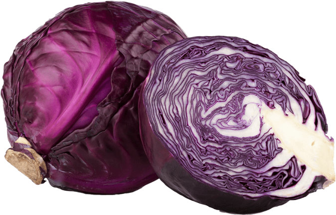 two red cabbages with a white background