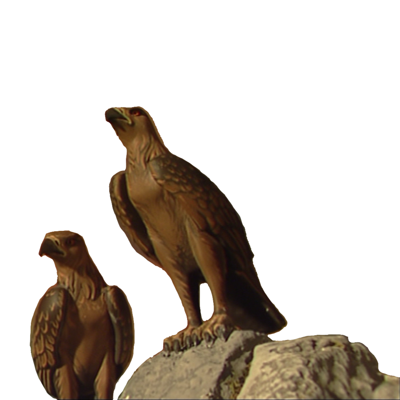 two birds sitting on top of a rock