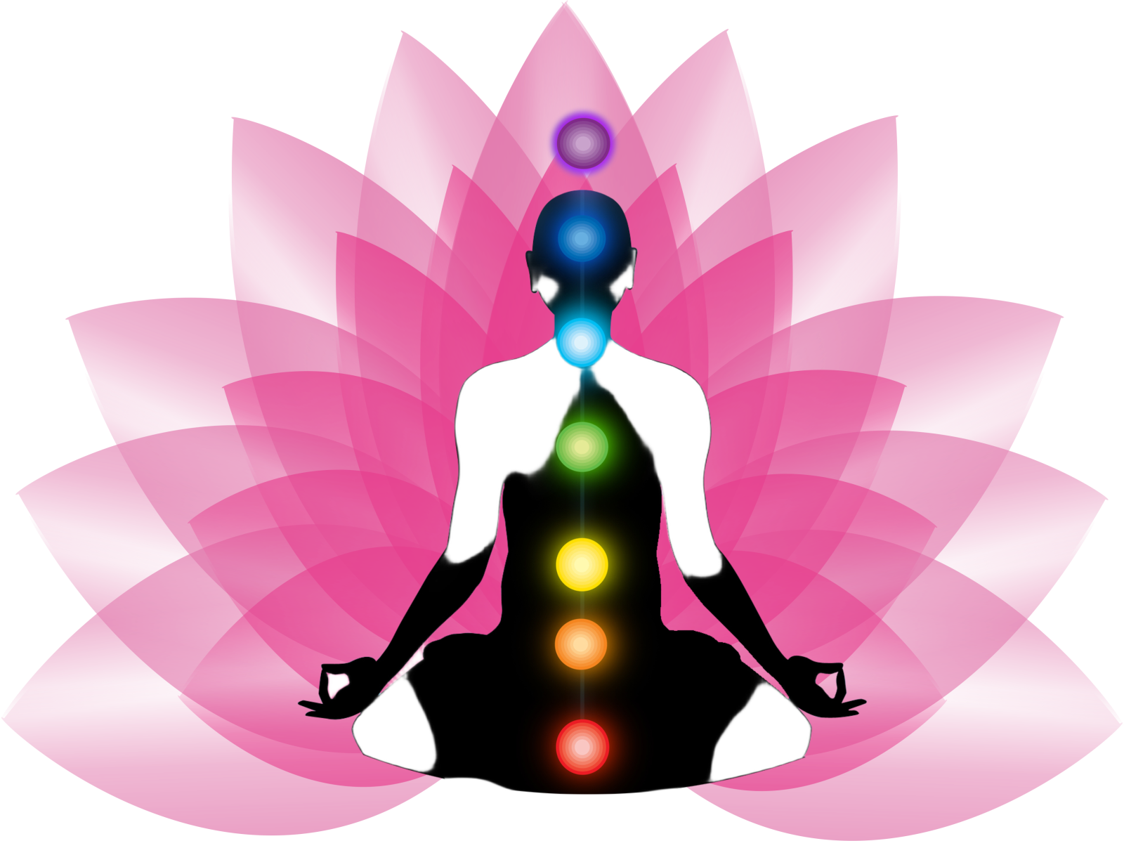 a silhouette of a person sitting on a lotus