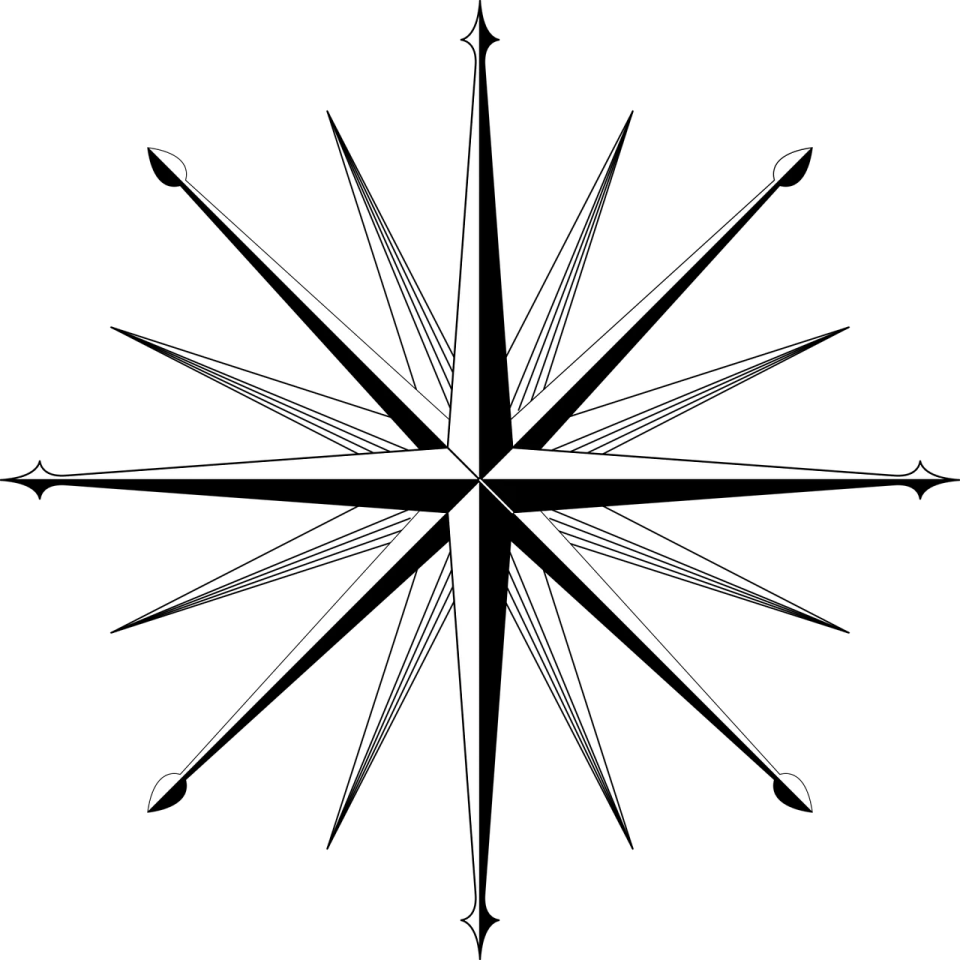 a black and white image of a compass