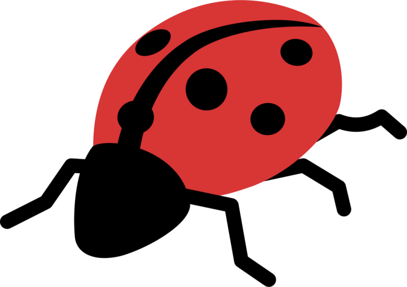 a ladybug on a white background
