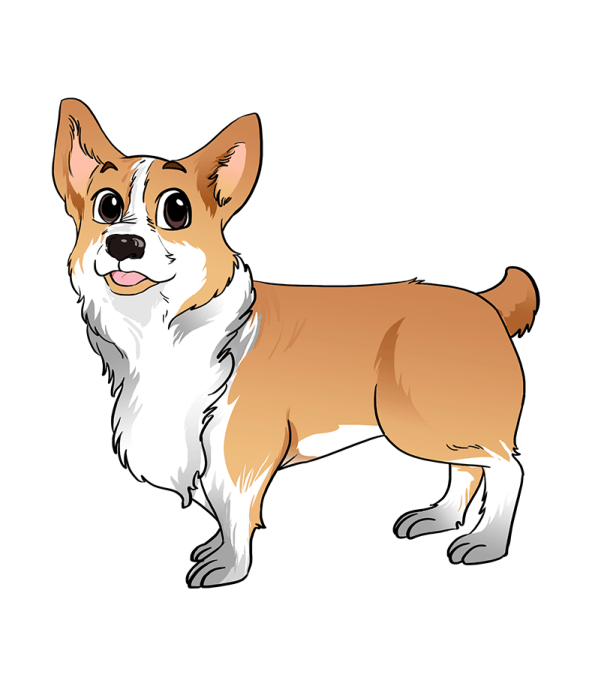 a brown and white dog standing on a white background