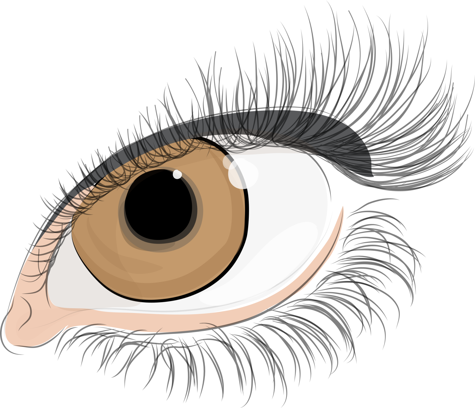 a close up view of an eye