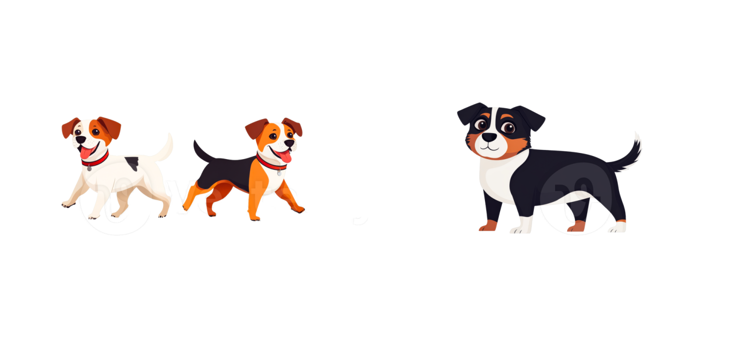 three dogs on a white background