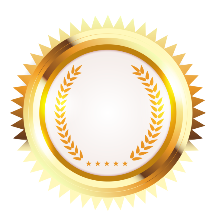a gold medal with a white background