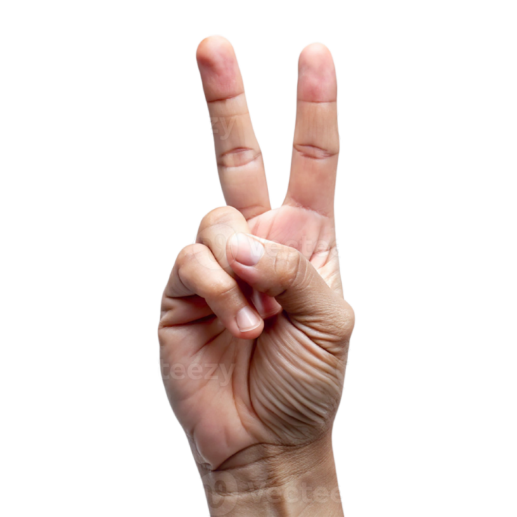 a person making the peace sign with their fingers