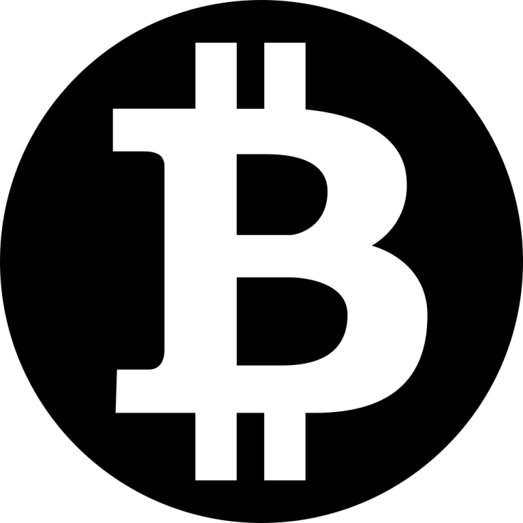 the bitcoin logo