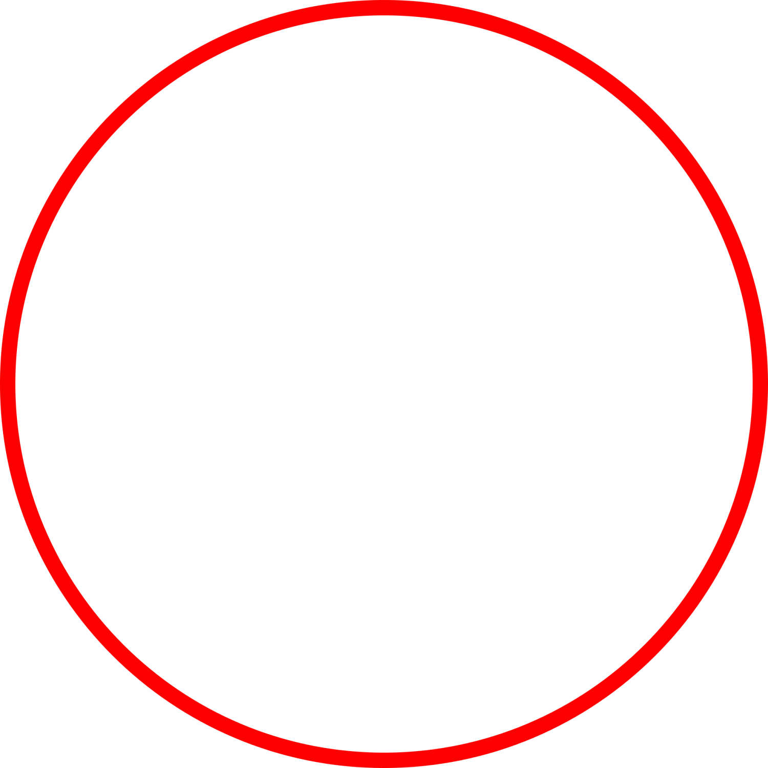 a red circle on a white background