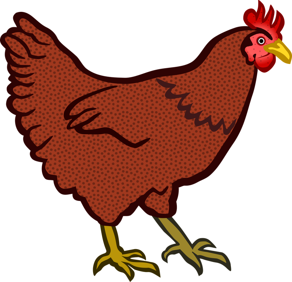 a chicken with brown spots on it's legs