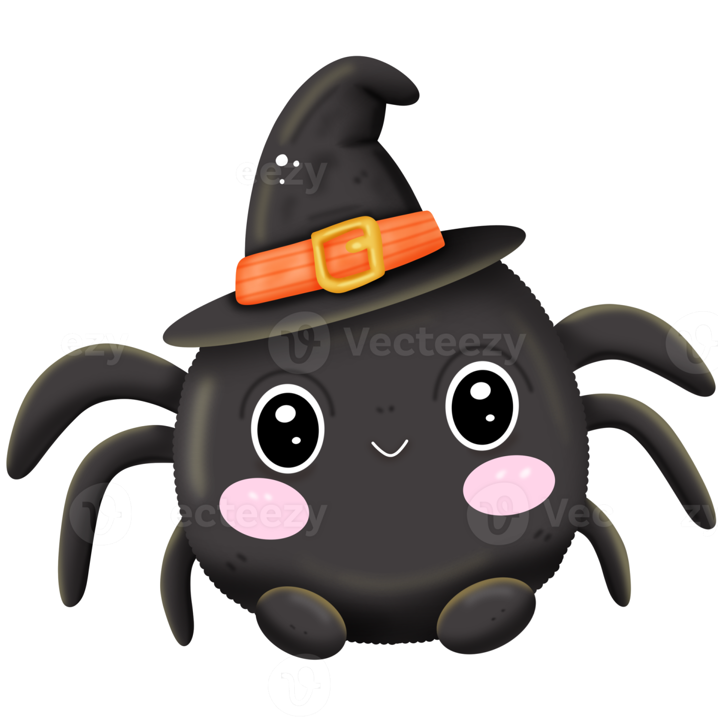 a black spider with a witch hat on its head