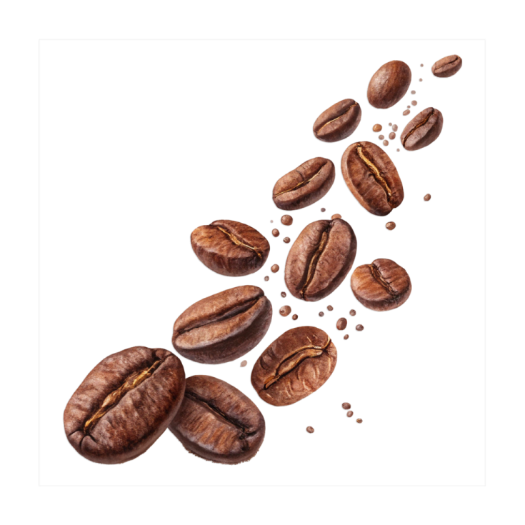 coffee beans falling on a white background