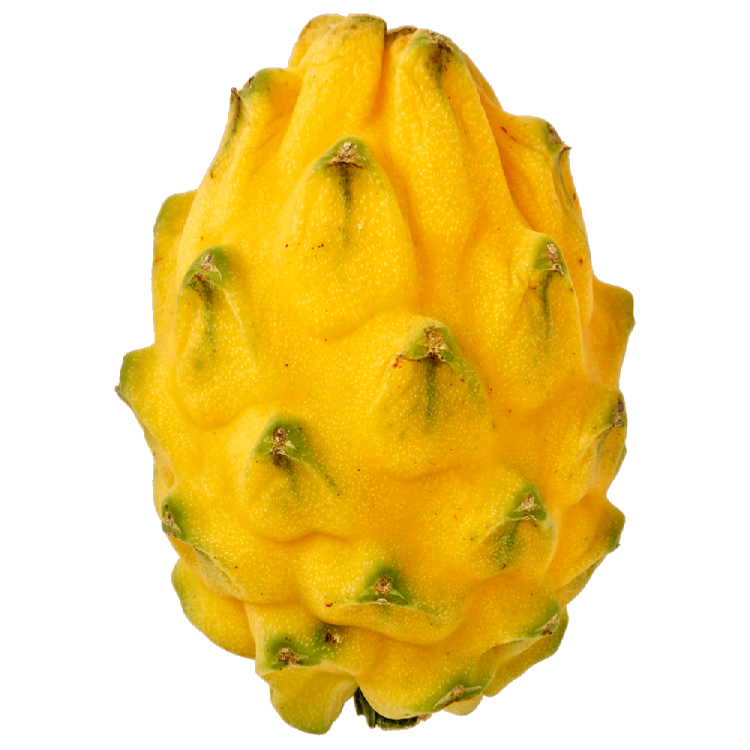 a close up view of a yellow fruit