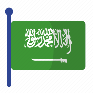 saudi flag icon