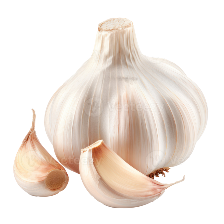 garlic on a white background