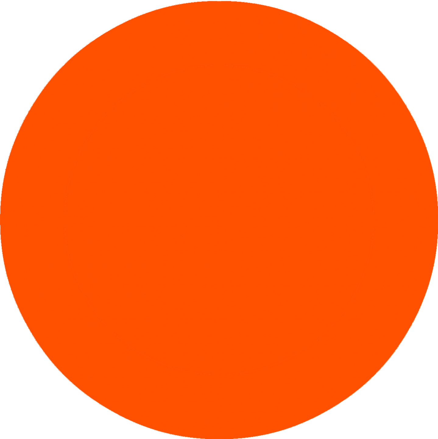 an orange circle on a white background