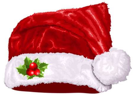 a santa hat with a holly berry on it